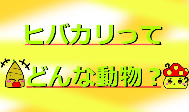 Thumbnail of post image 059